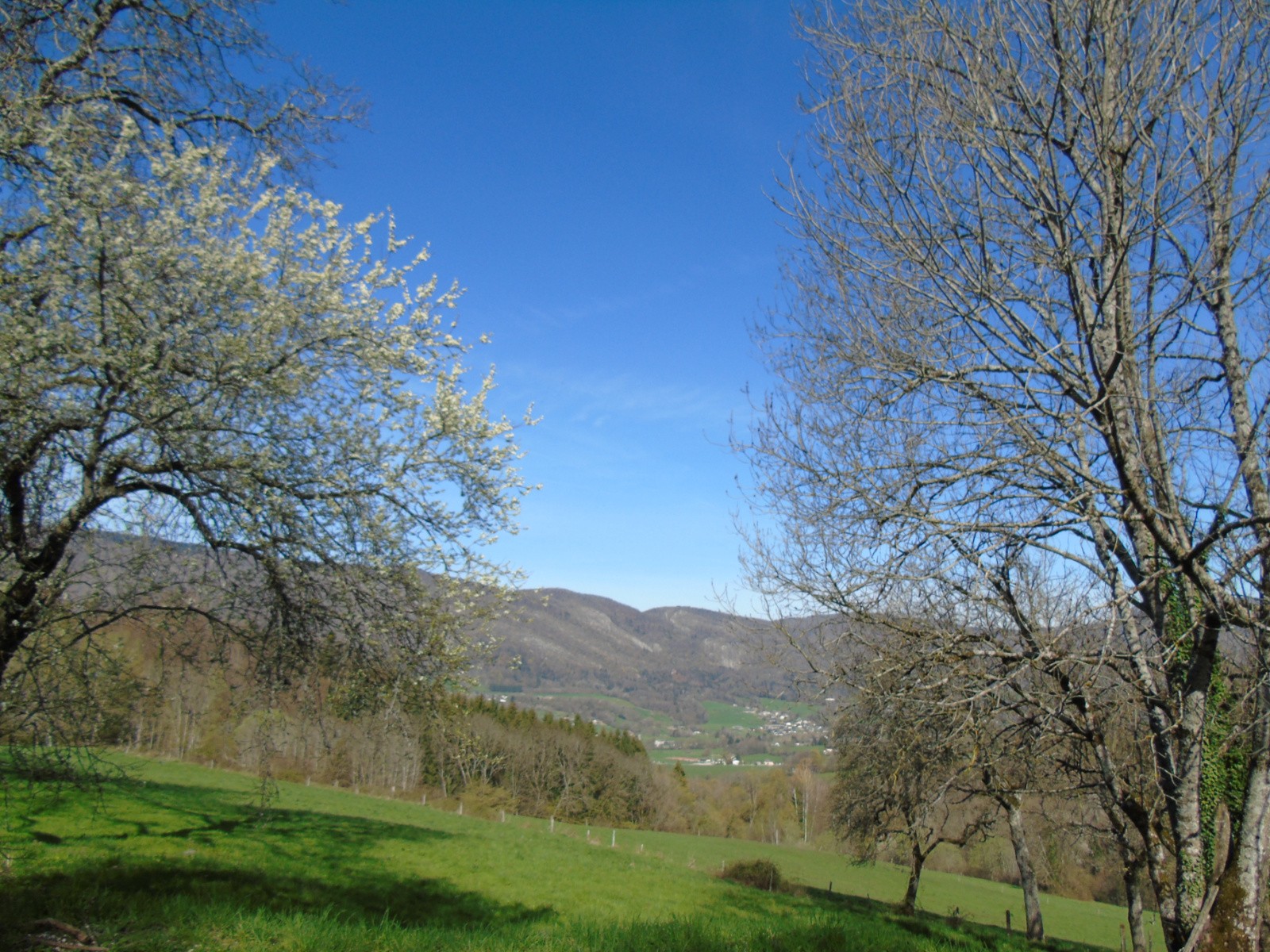#4 Montagne de l Montagne de l'Eîne