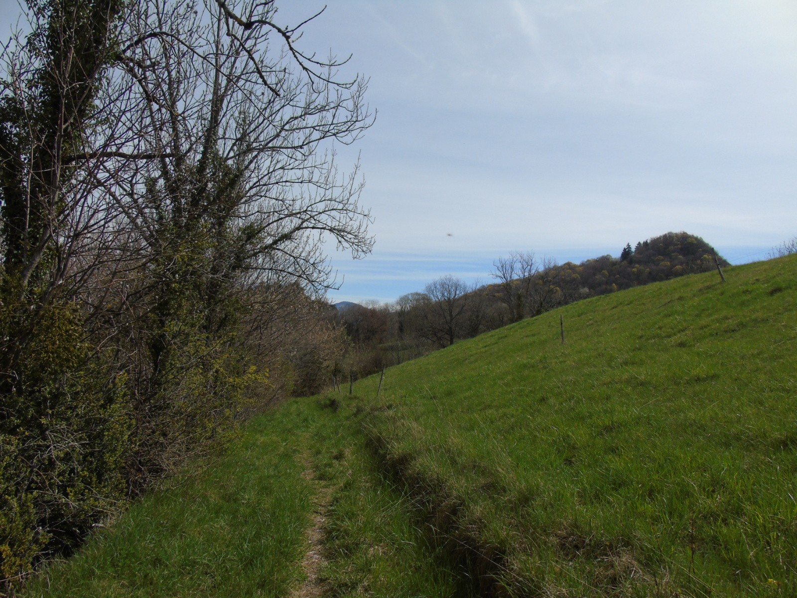 #18 Chemin agricole Chemin agricole