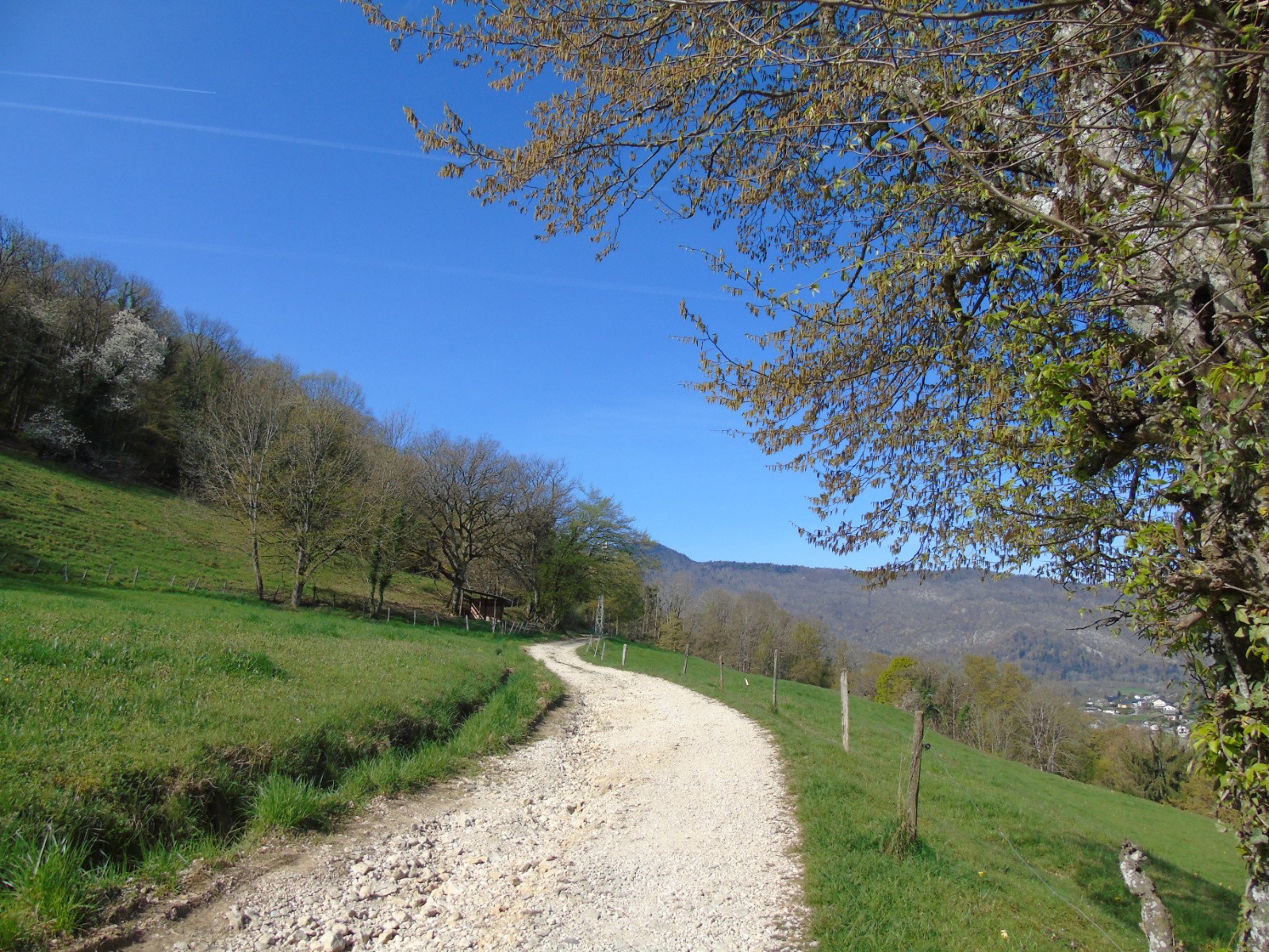 #2 Chemin Chabran Chemin Chabran
