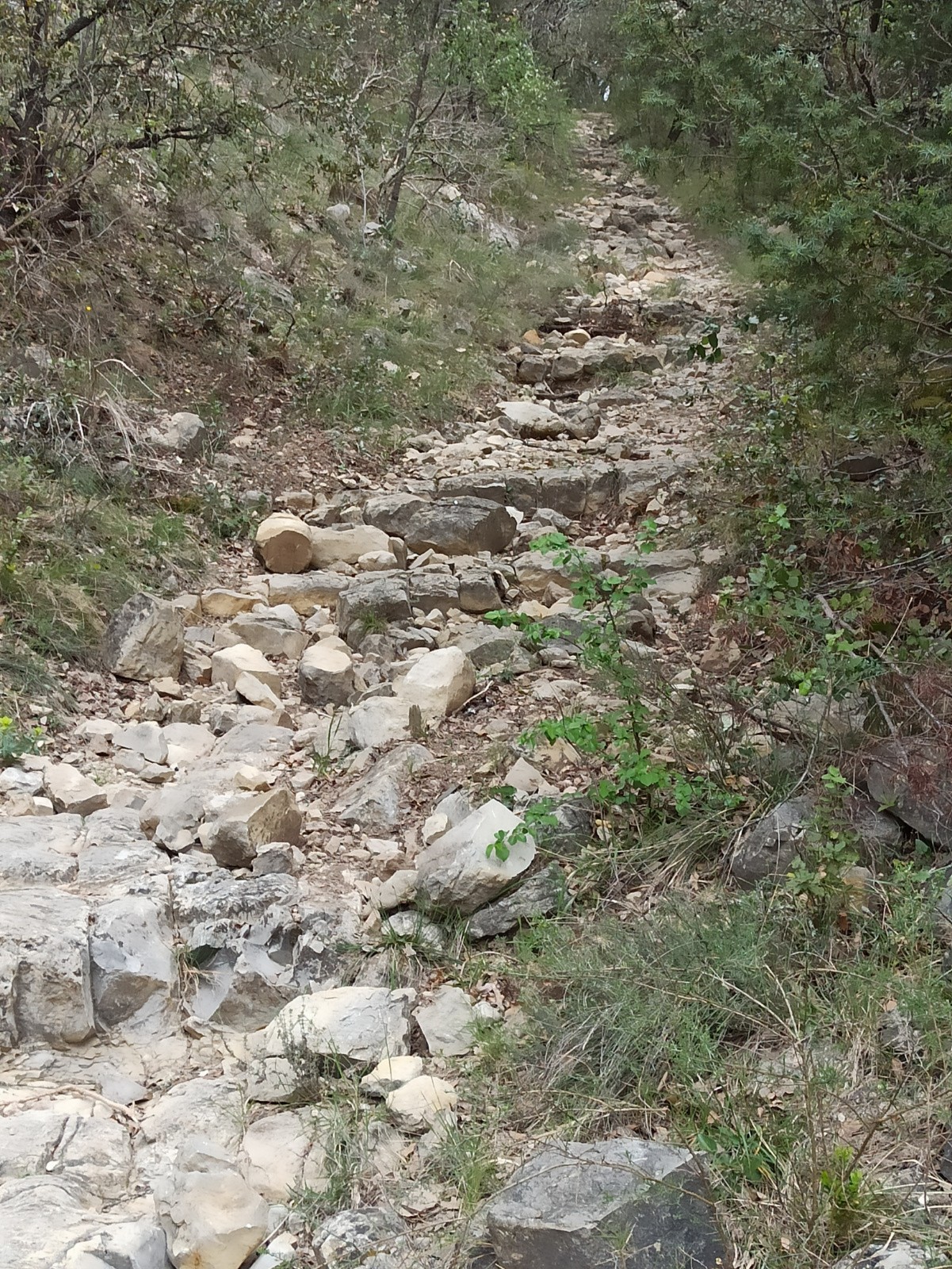 #1 Montée Caillouteuse Montée Caillouteuse