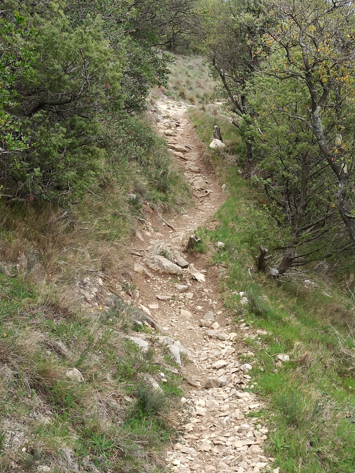 #5 Encore du cailloux pour la montée mais moins Encore du cailloux pour la montée mais moins