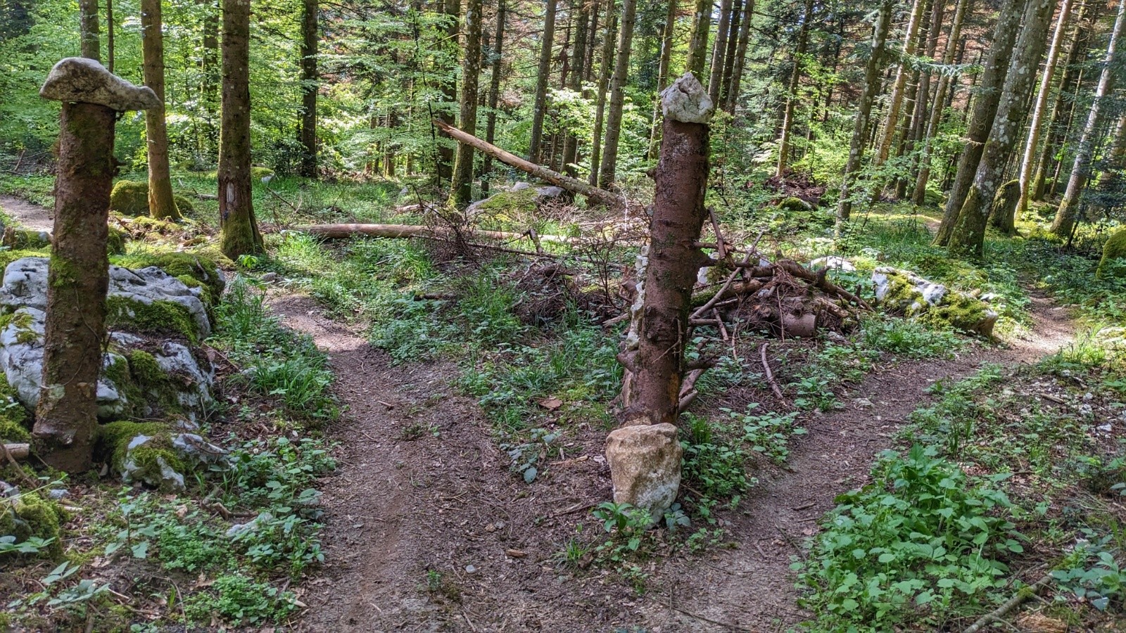  'jourd'hui, à droite