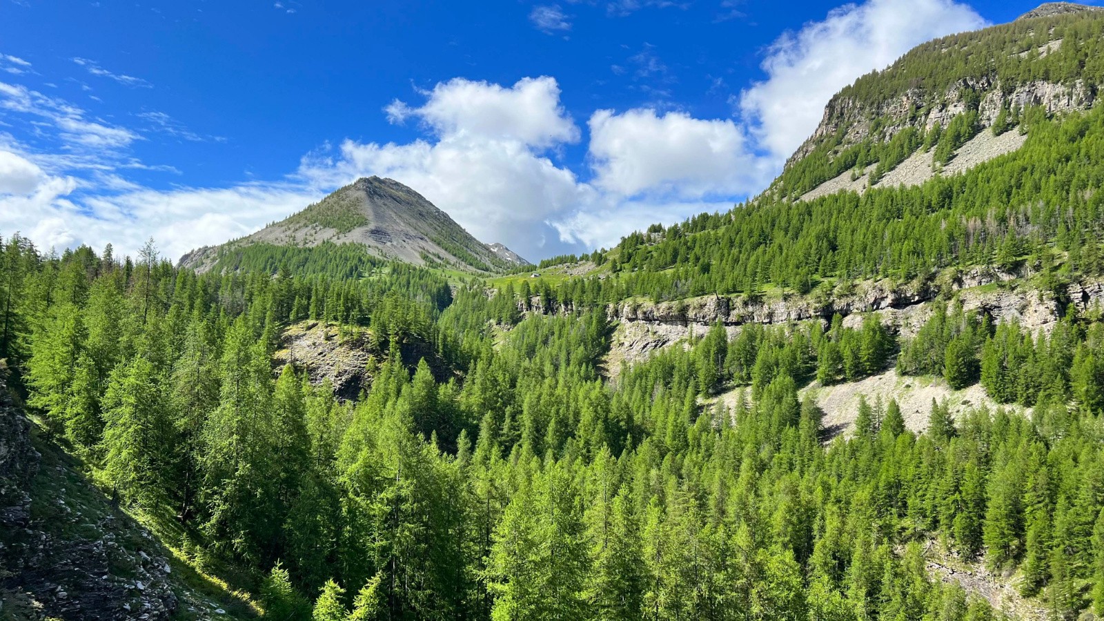 Vallon de Mouriès et sa cabane éponyme