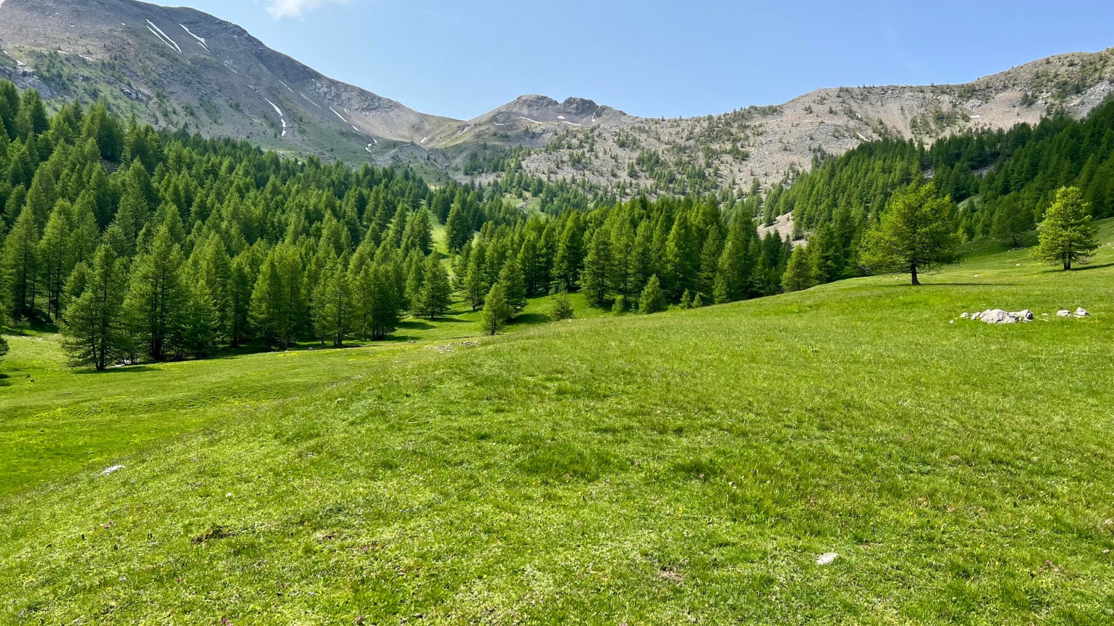 #14 Le green de golf est bien roulant en Free-ride Le green de golf est bien roulant en Free-ride