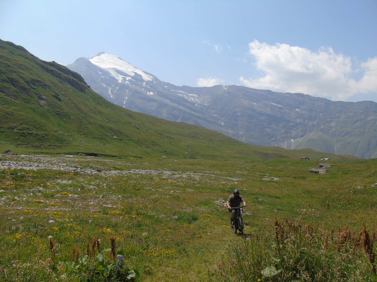 Dans le fond du cirque