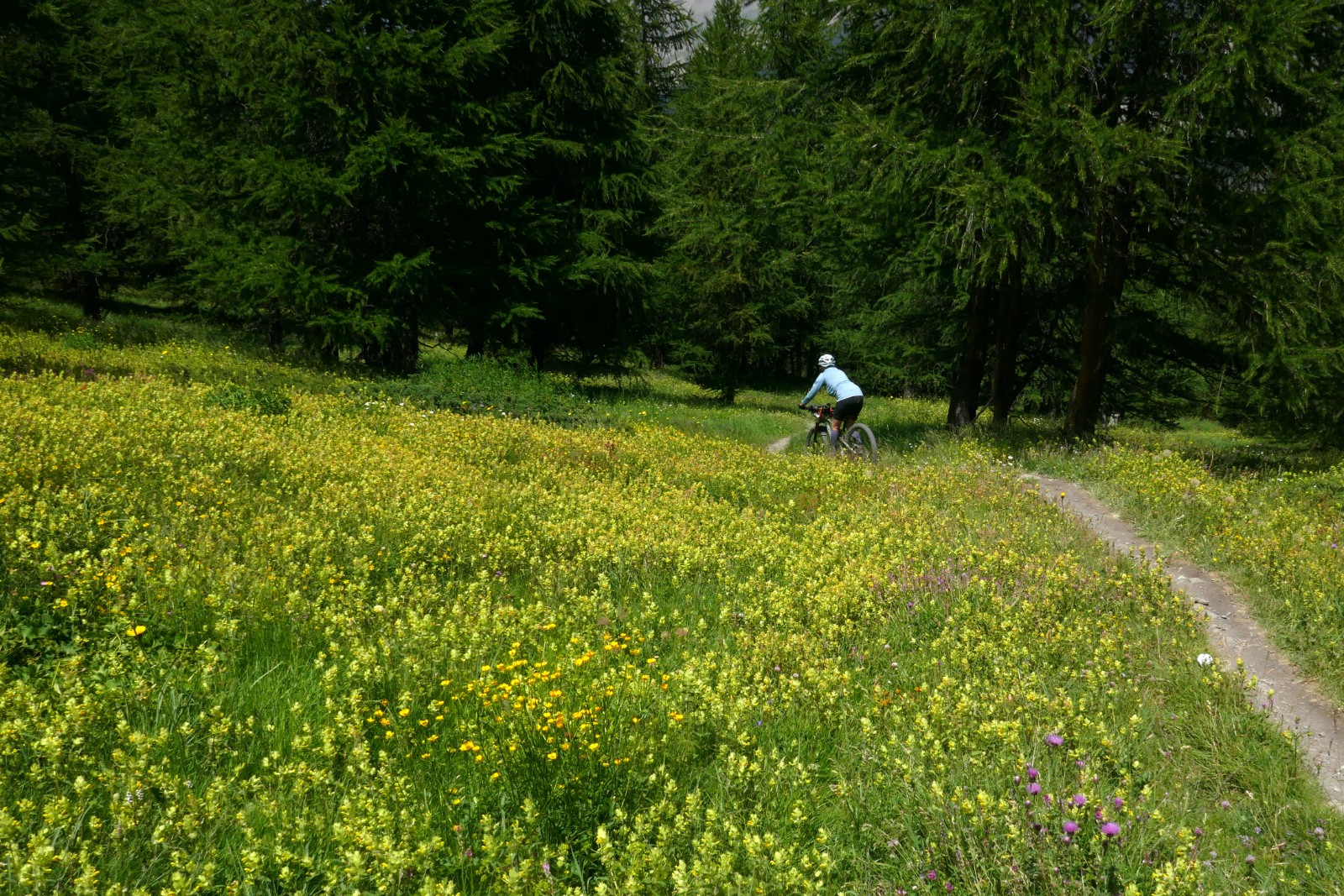#34 Descente du col du Longet Descente du col du Longet
