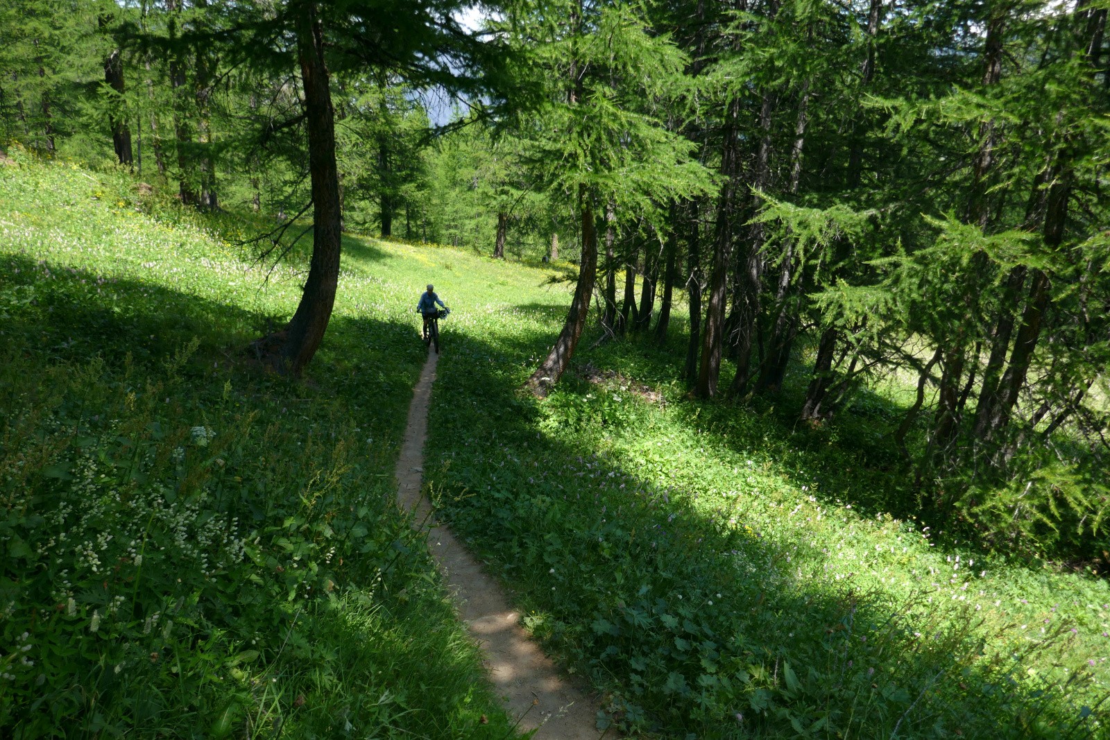 #24 Dans la descente de la Colette de Gilly Dans la descente de la Colette de Gilly