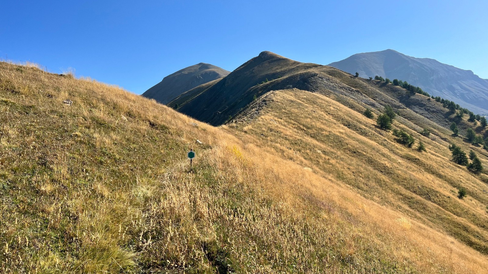 Limite du parc et derrière petit et grand cheval de bois