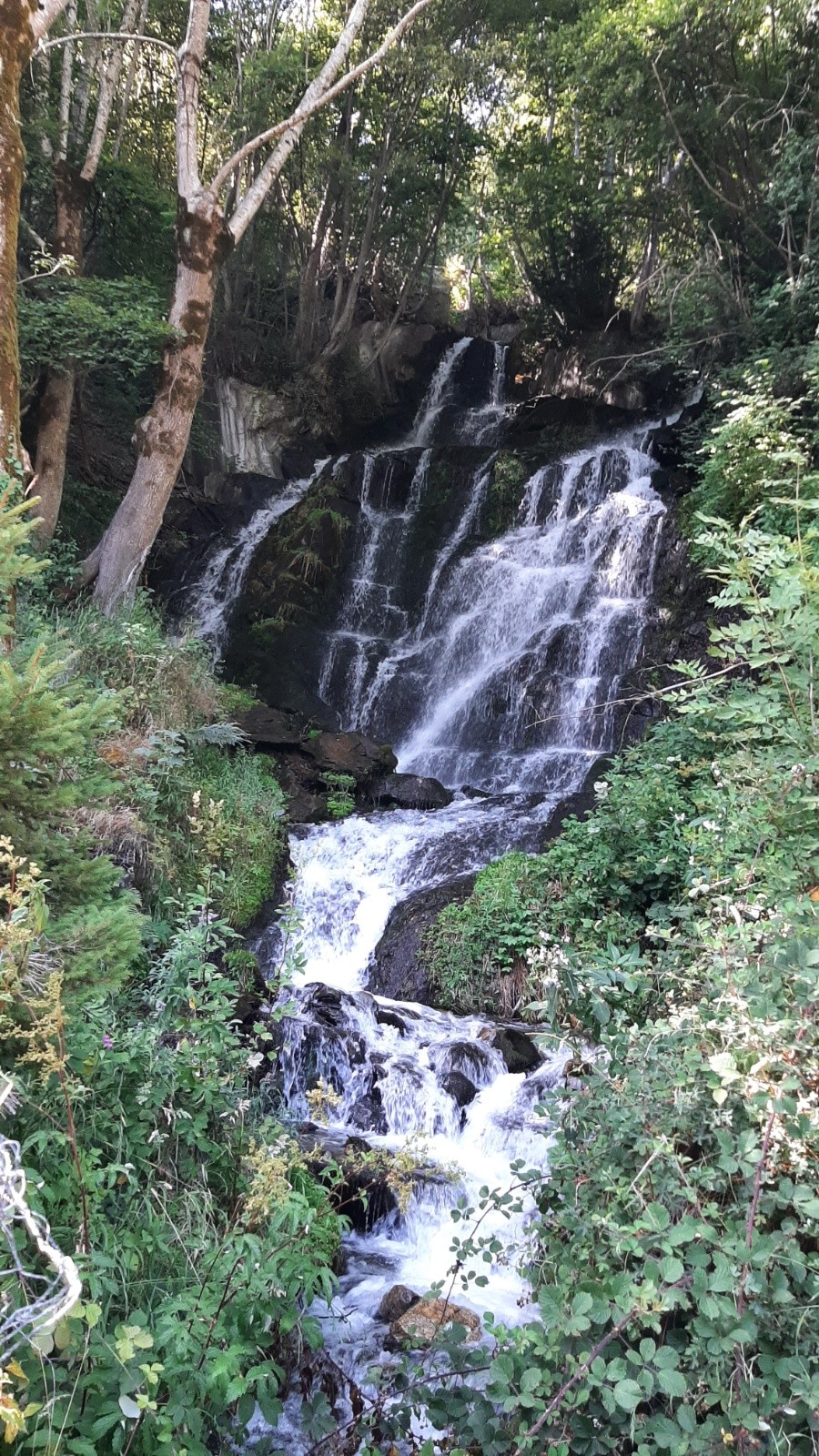  Cascade rafrichssante
