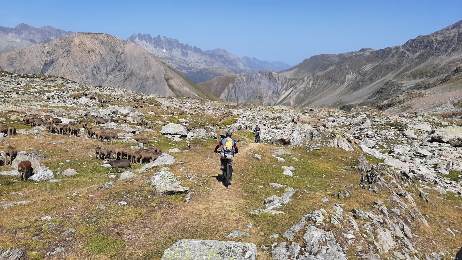 Traversée avec les moutons
