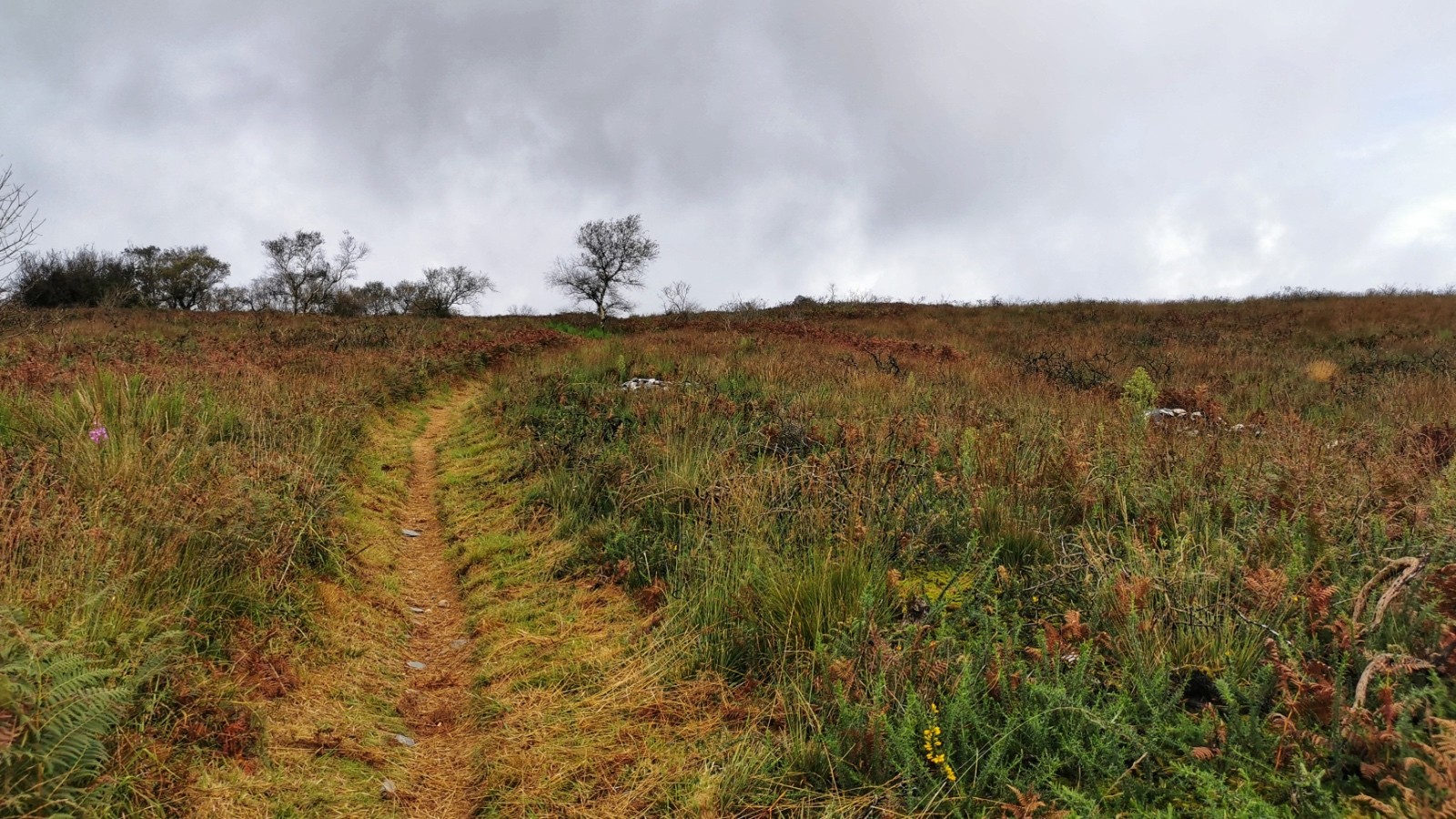 Belle monotrace à la montée 
