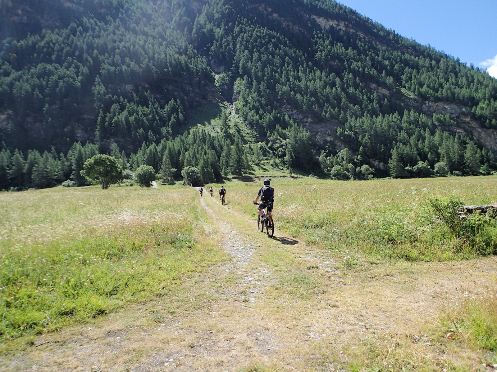 Direction la forêt...