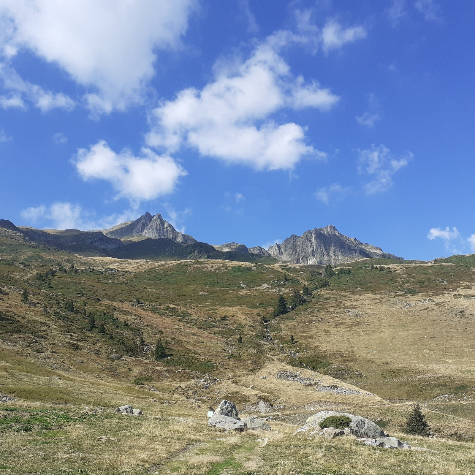 Grande Pointe de Bizard et Comborsier 