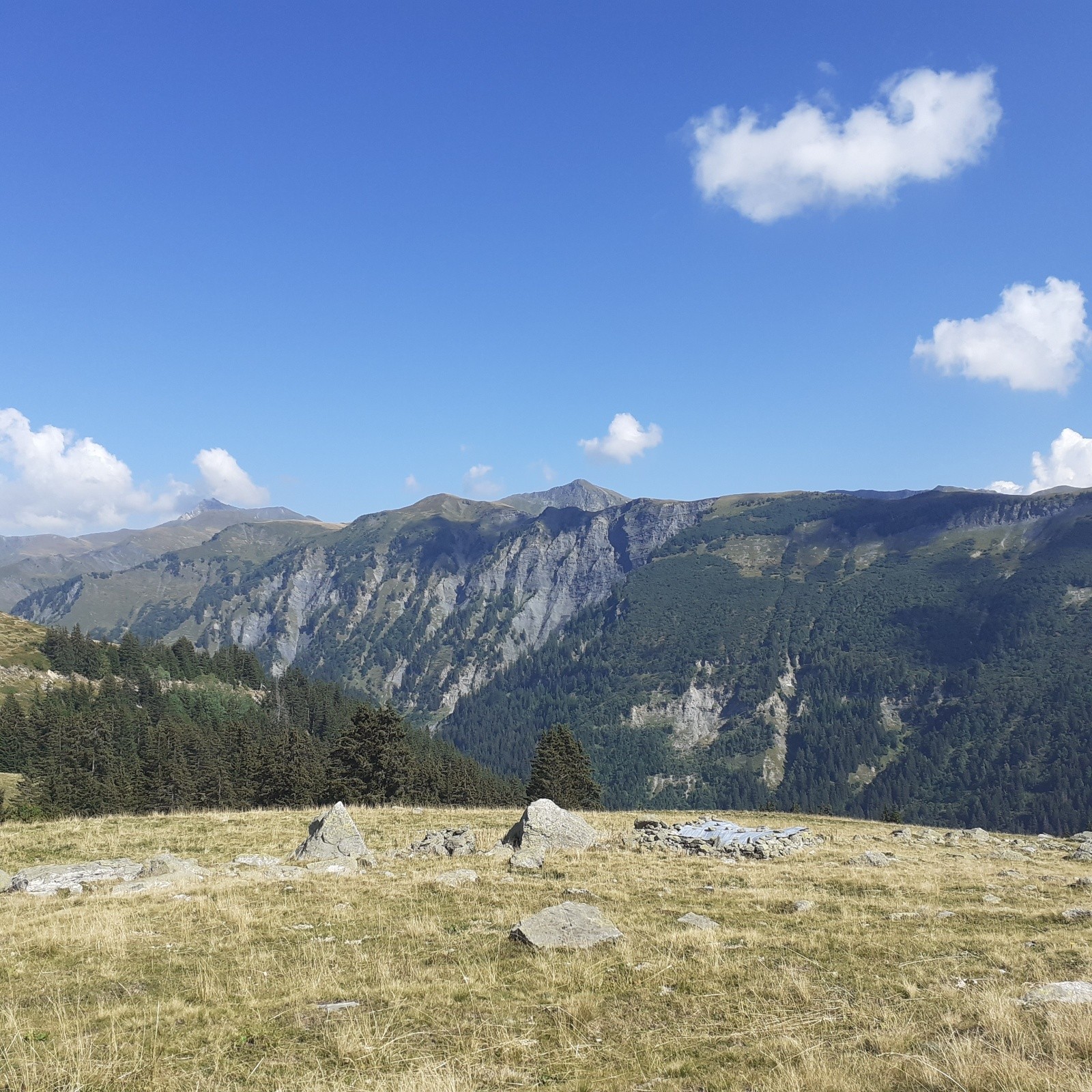 Le grand Crétet sur fond de Dzonfié  et Quermoz après chalet Bizard 