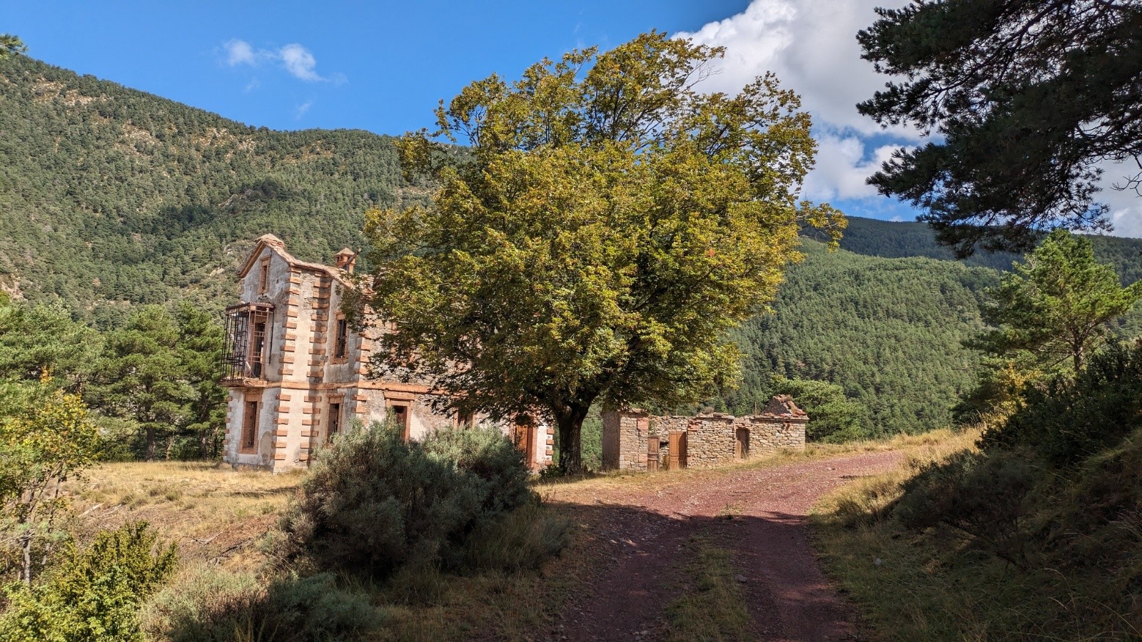 Maison forestière ruinée