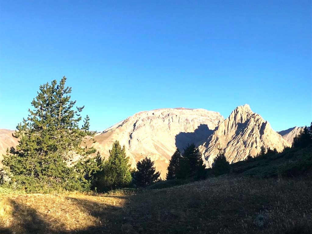 #1 Mortice. Mortice.