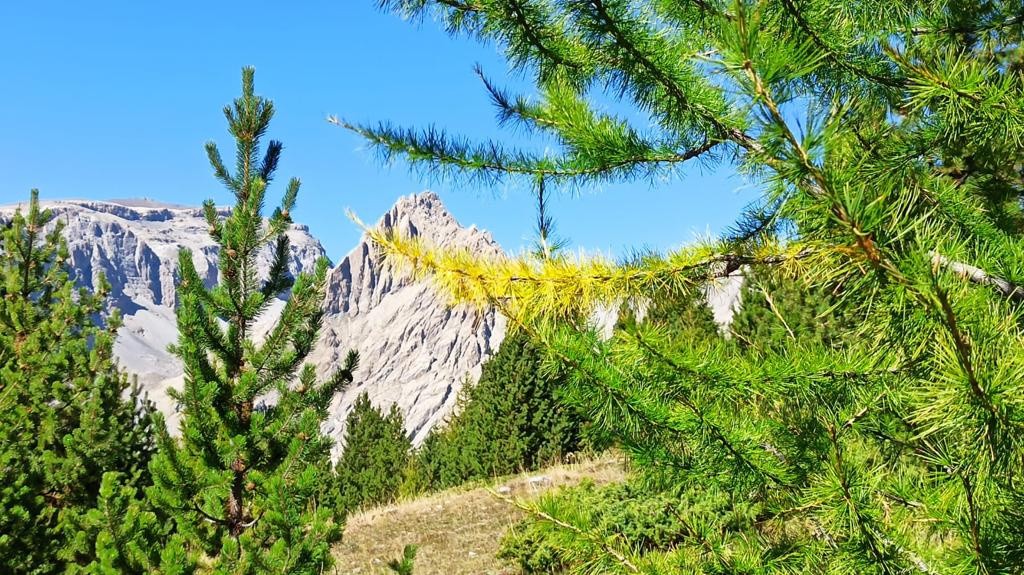 #10 Premières couleurs d Premières couleurs d'automne.