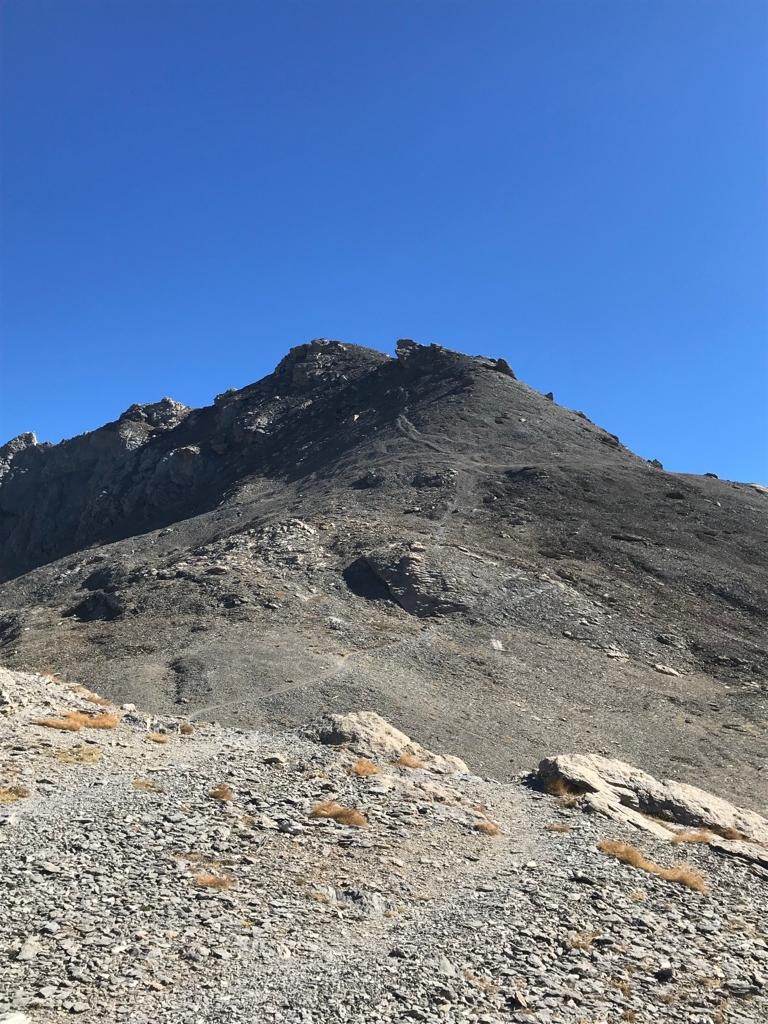 #5 Tête de la Fréma. Tête de la Fréma.