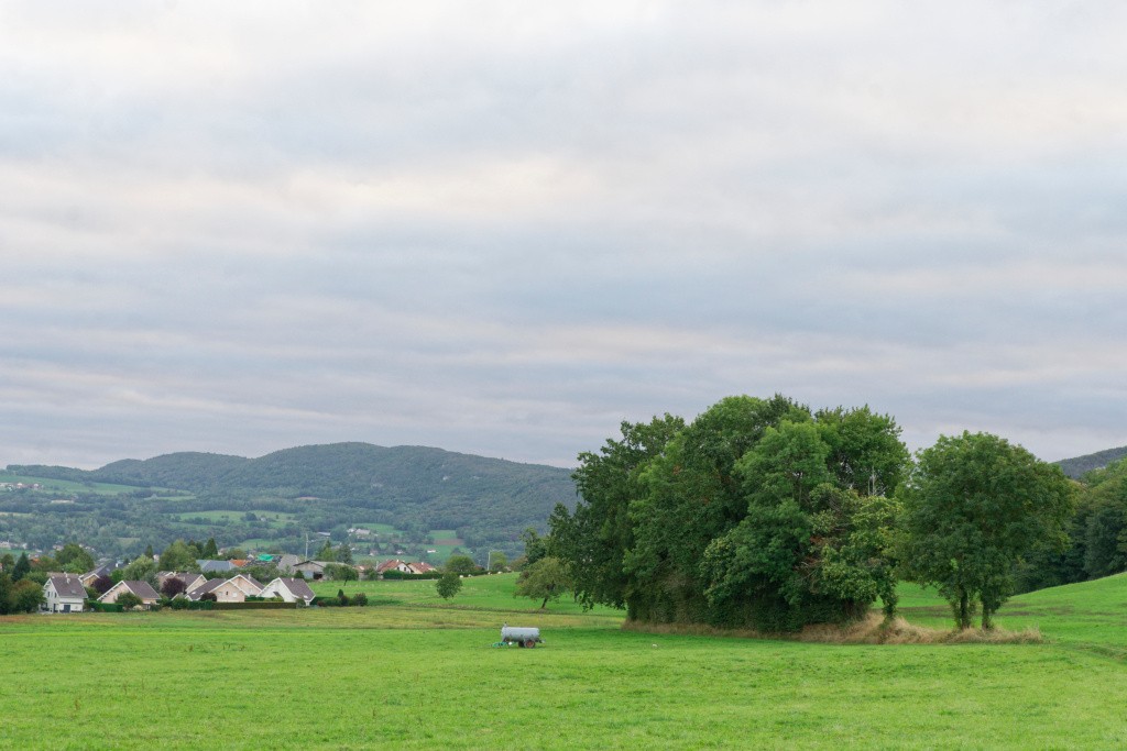 #2 Chemin champêtre Chemin champêtre