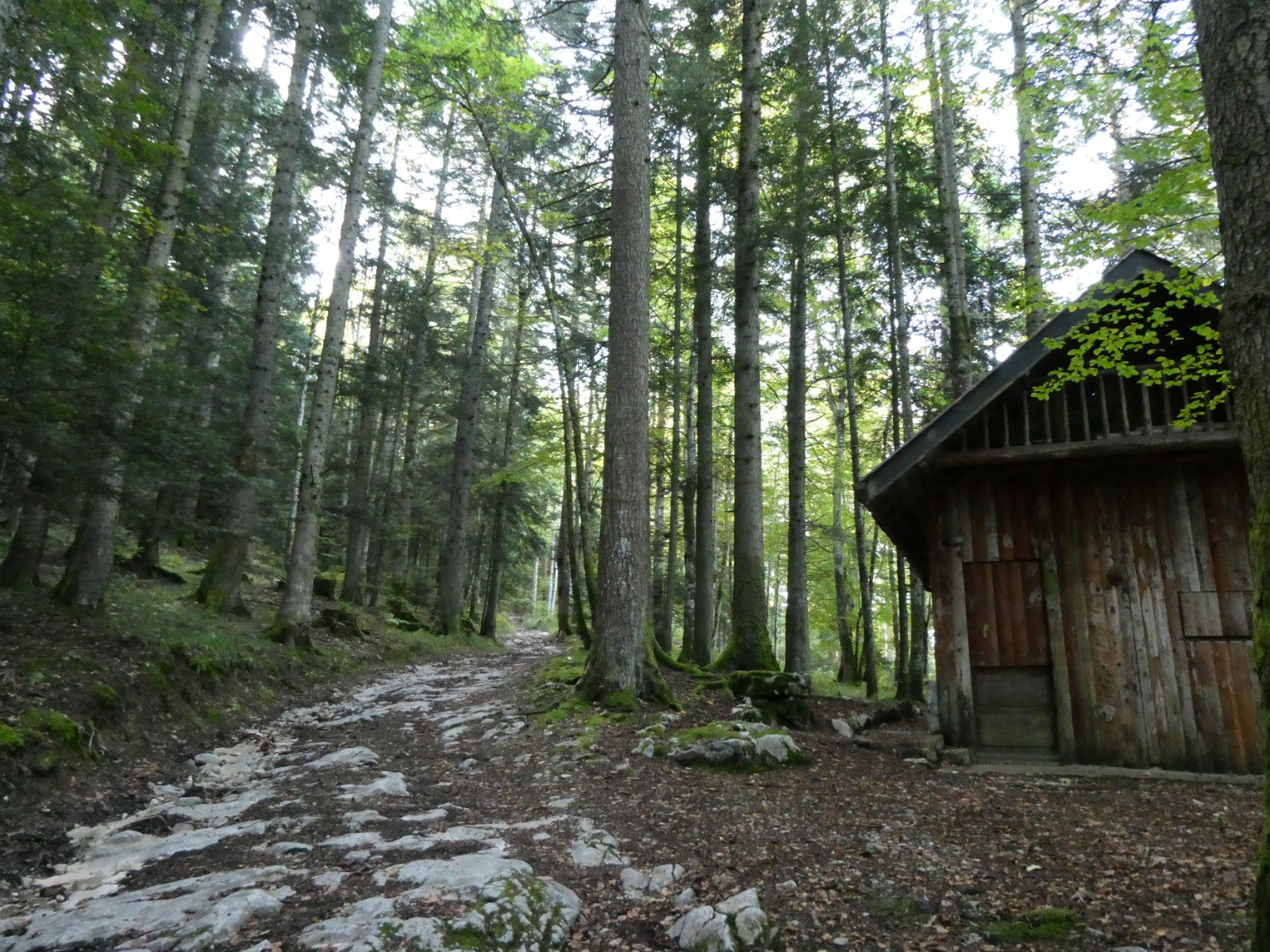 Cabane du Soualey 