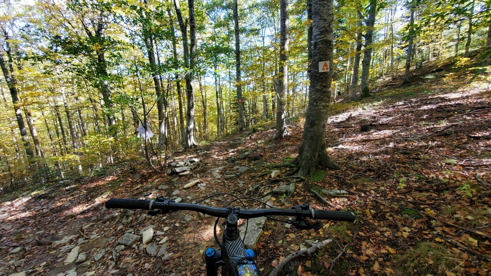 #18