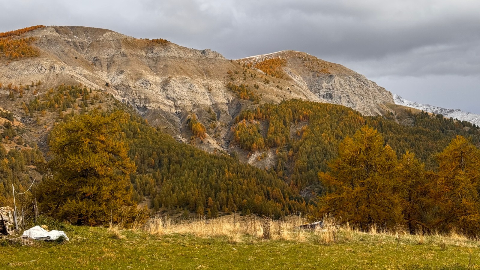 #17 Rochegrand Rochegrand