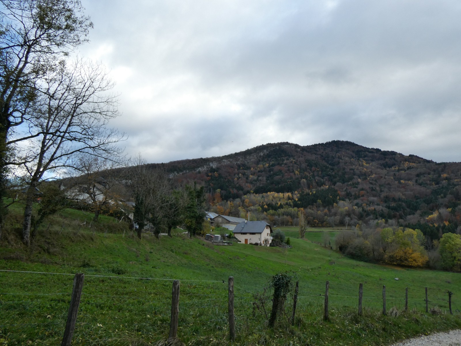 La forêt des Avignières c'est ça! 