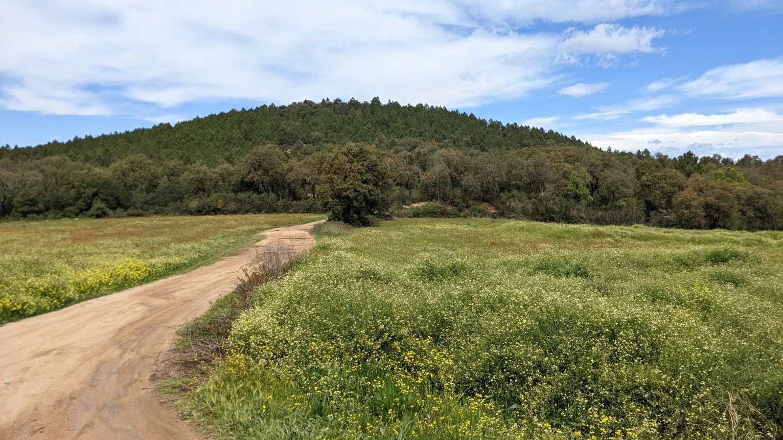 #4 chemin de liaison chemin de liaison