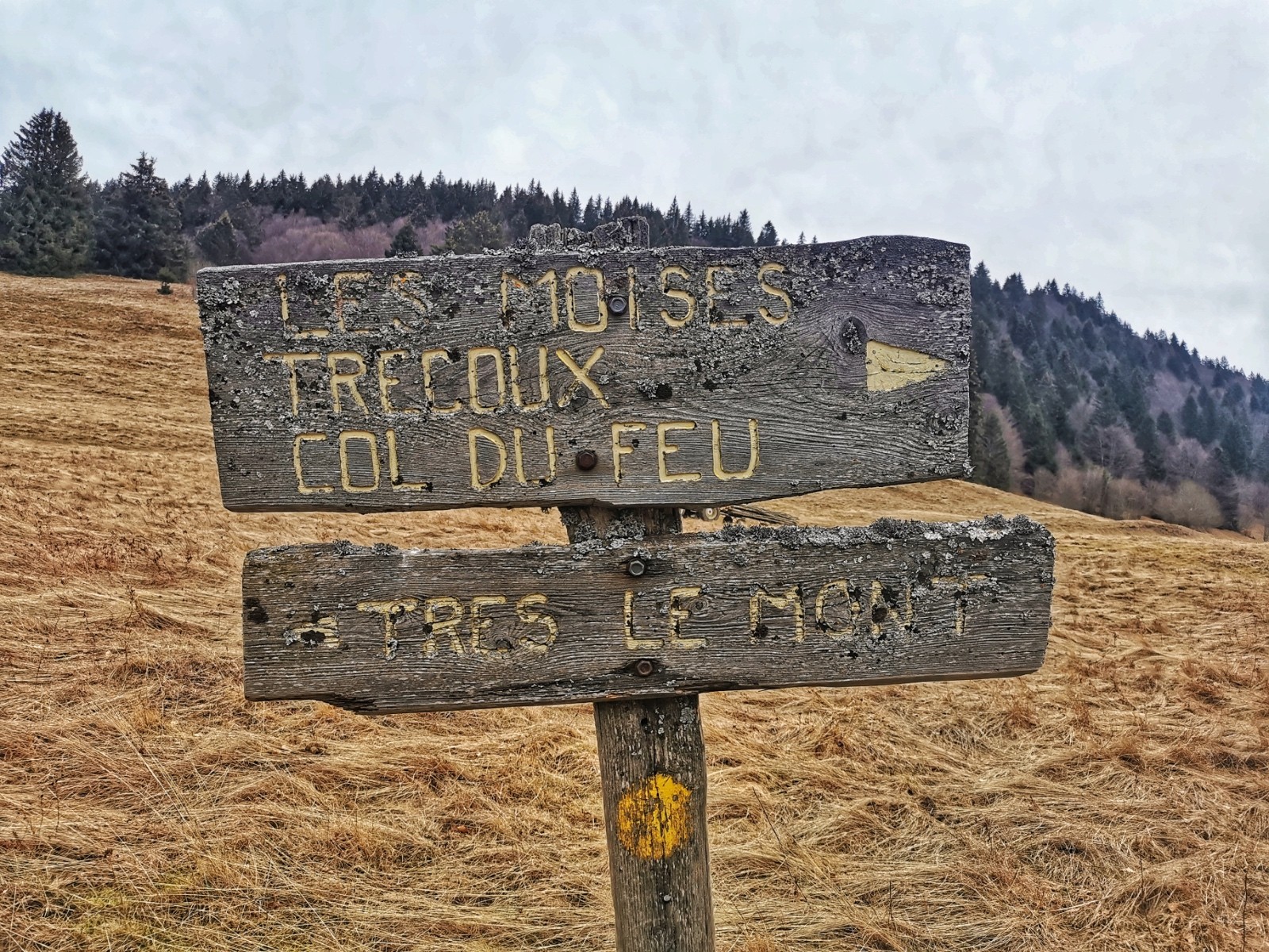 #9 Balisage qui se fond dans le décor Balisage qui se fond dans le décor