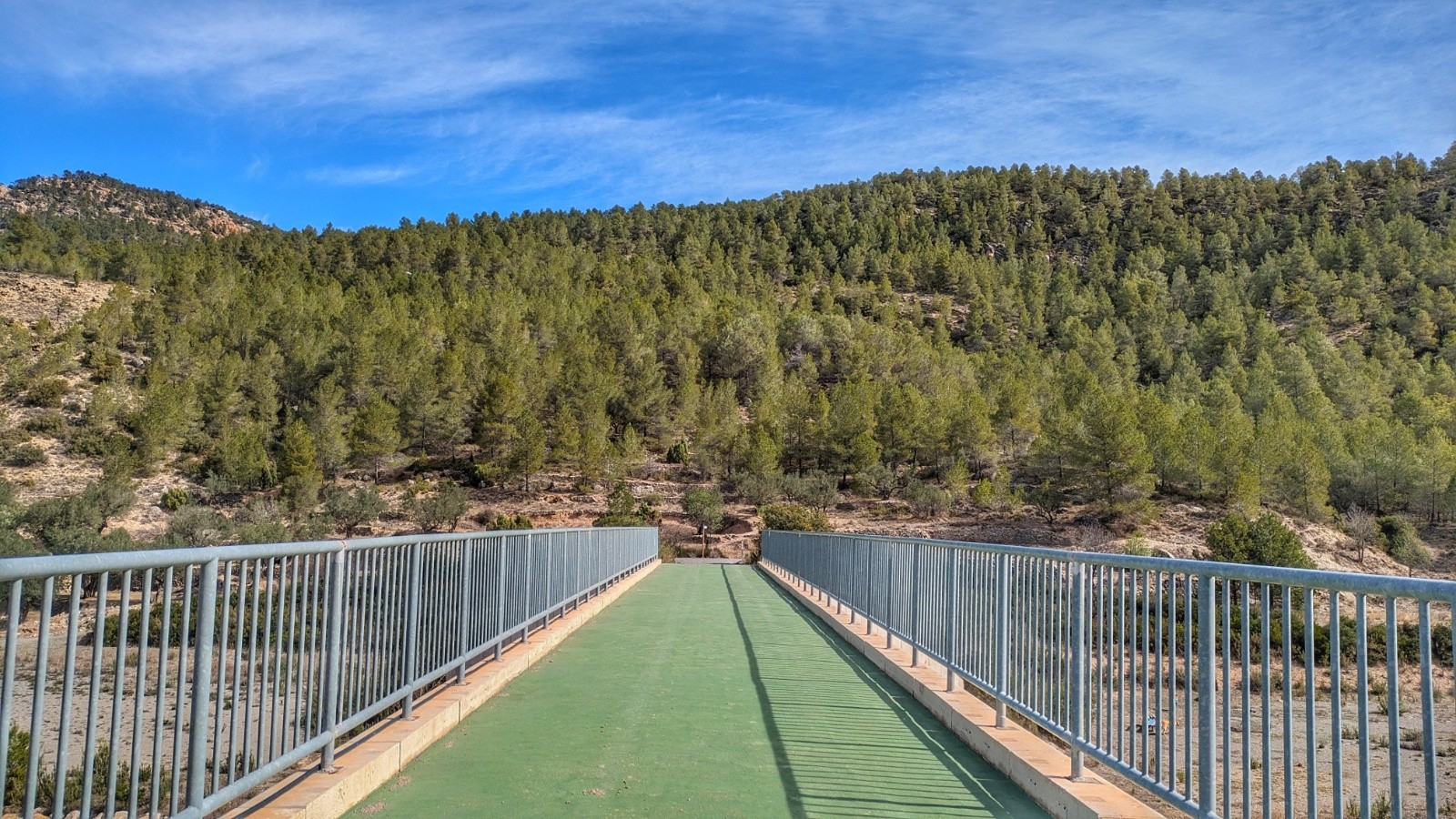 passerelle préservée 