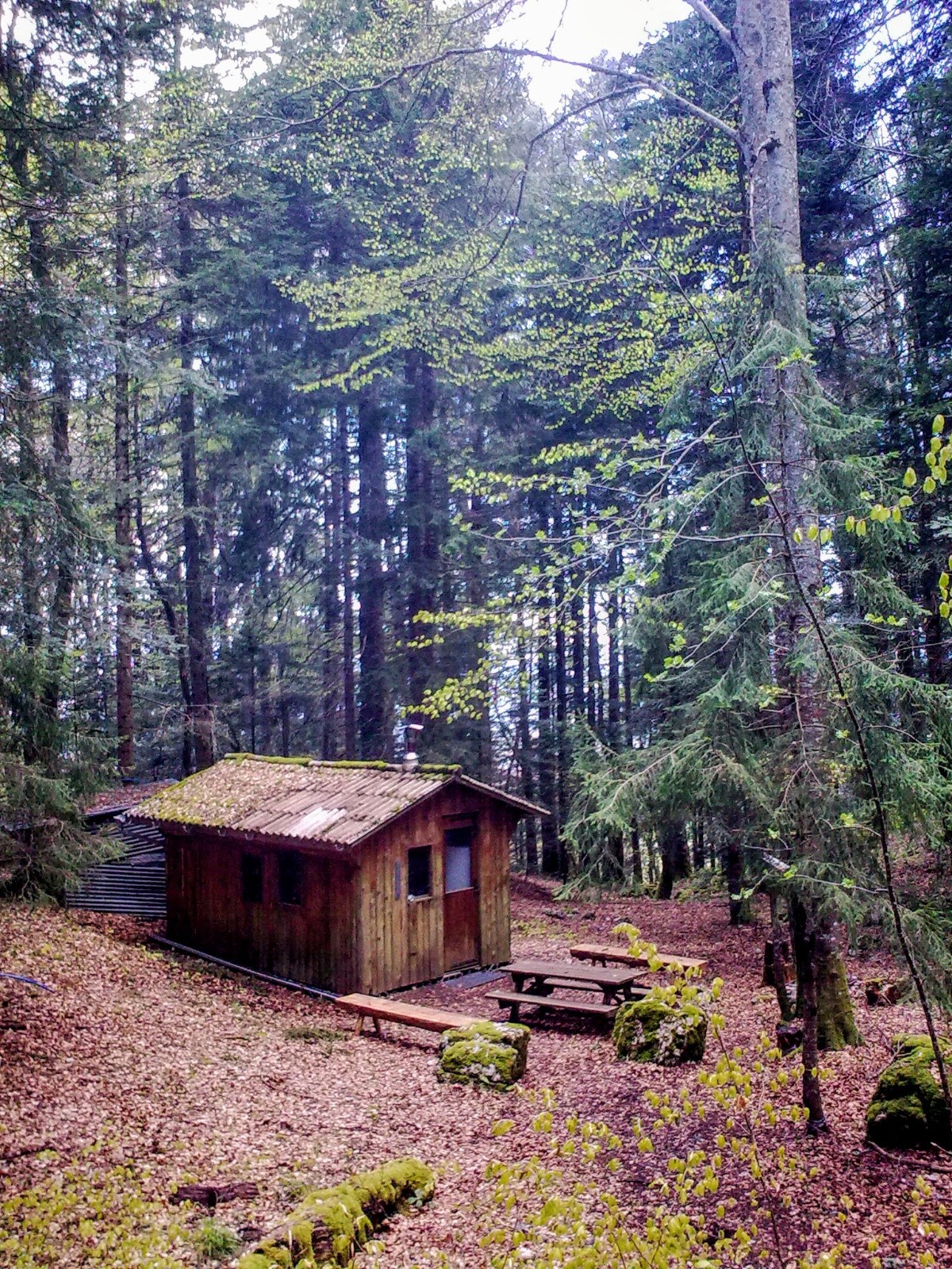 Cabane Cachée 