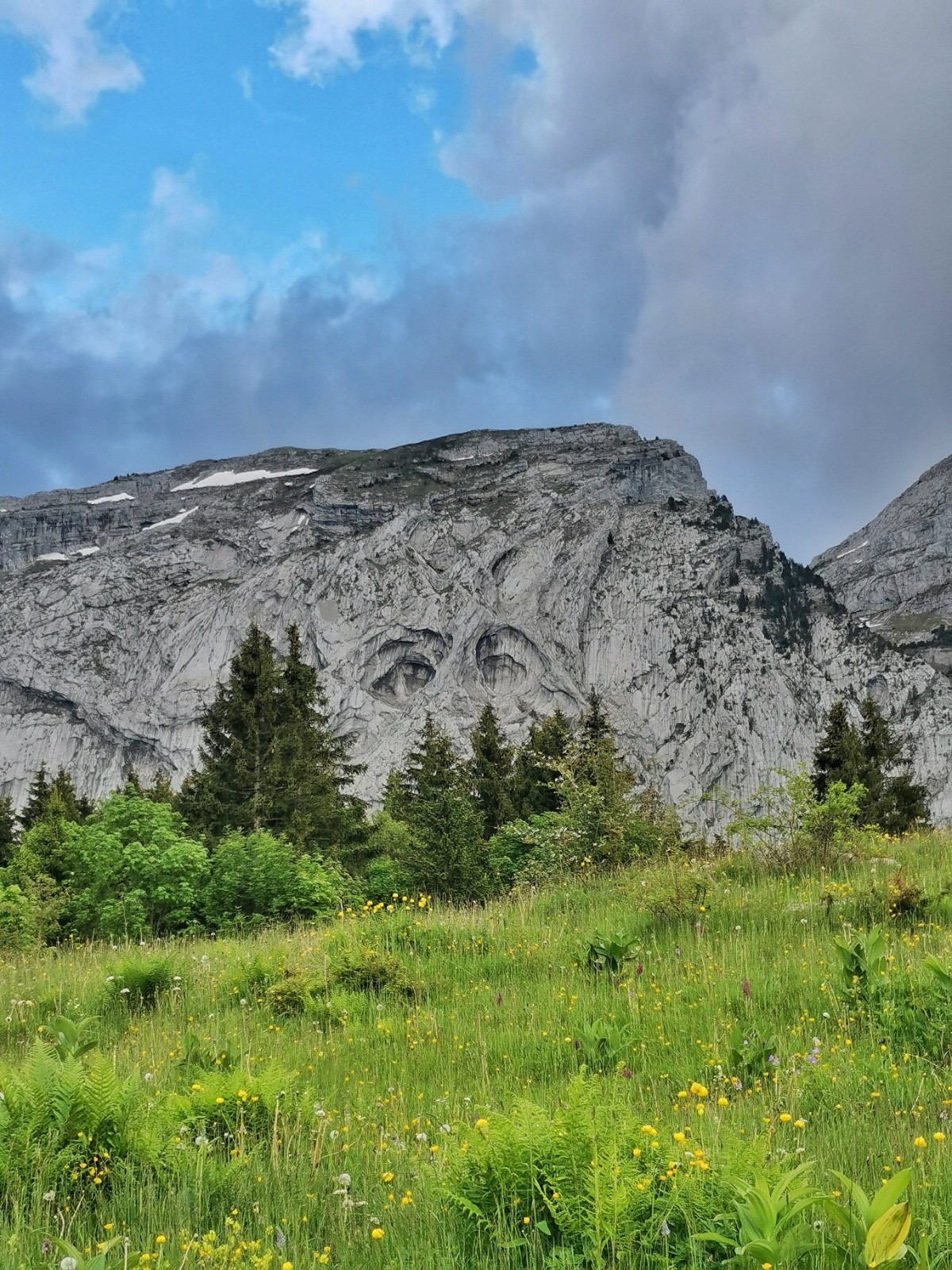 #6 Les yeux du Bargy : On est observé ! Les yeux du Bargy : On est observé !