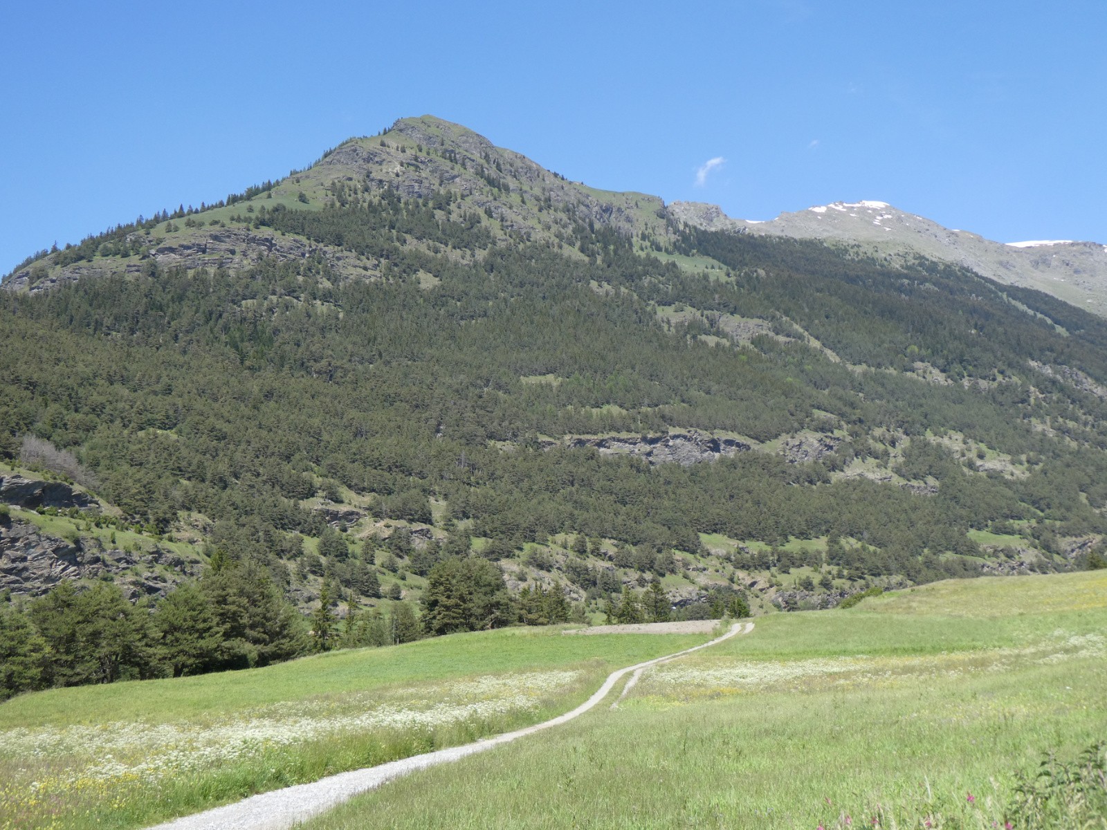 Le versant de Pré Chamois 