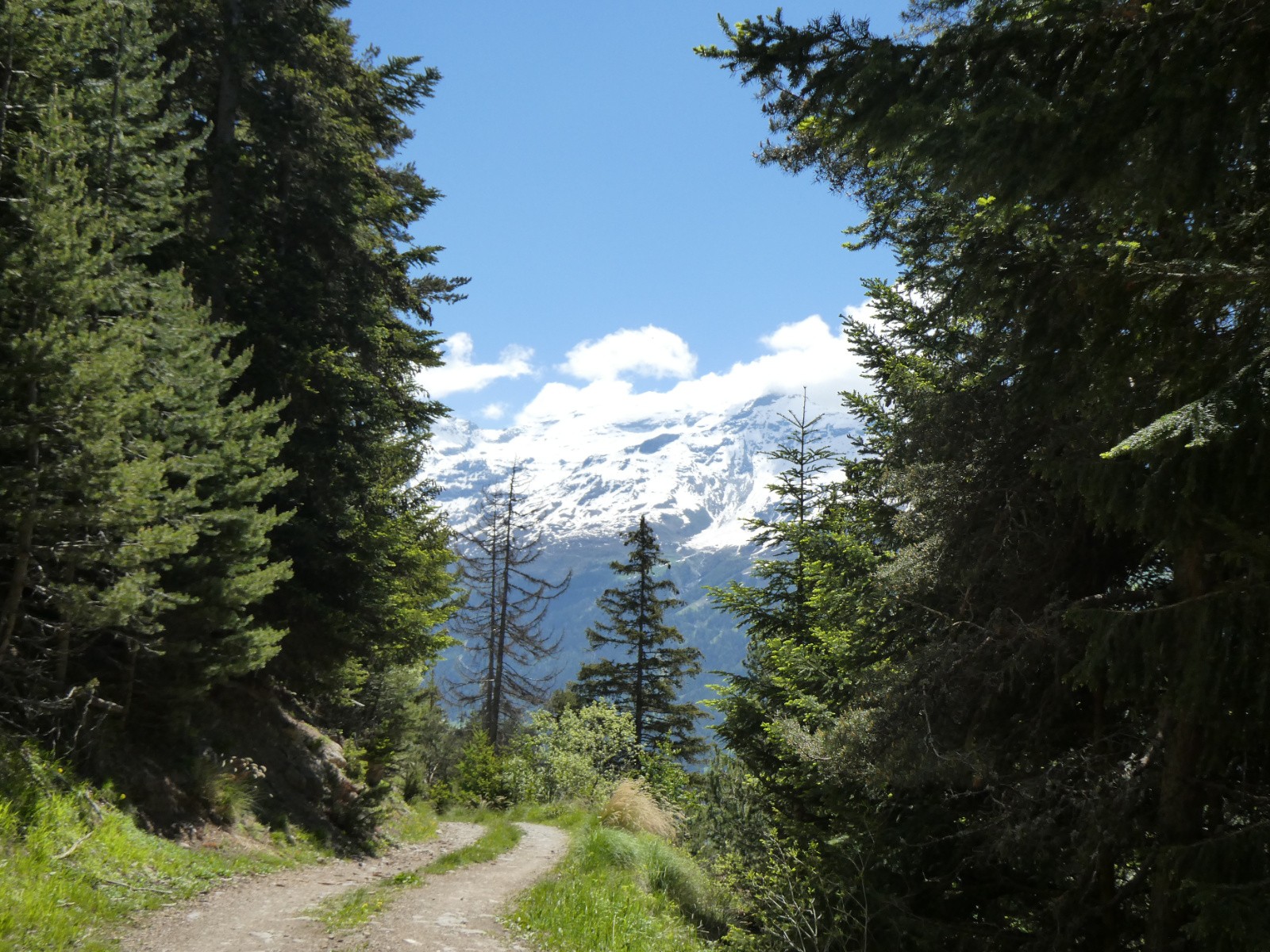 Piste du Cuchet 