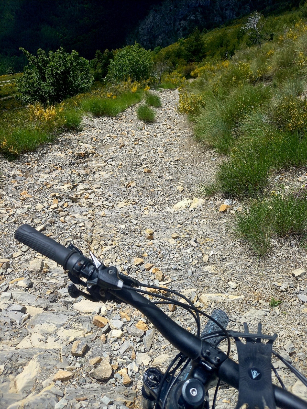 canyon peine et moi aussi 