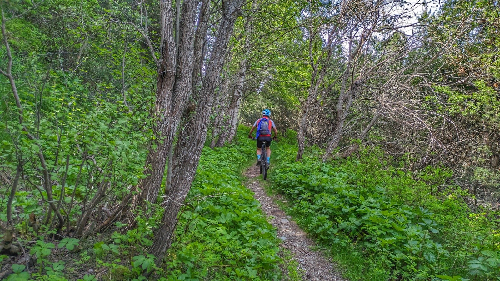 passage ombragé 