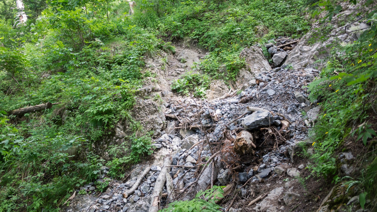 Sentier des échelles (sous l'échelle)