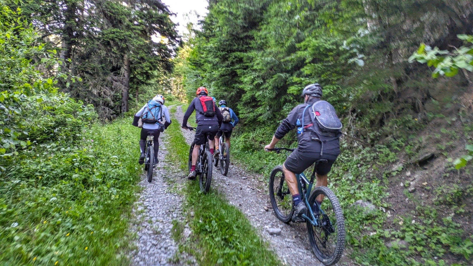 montée piste au train 