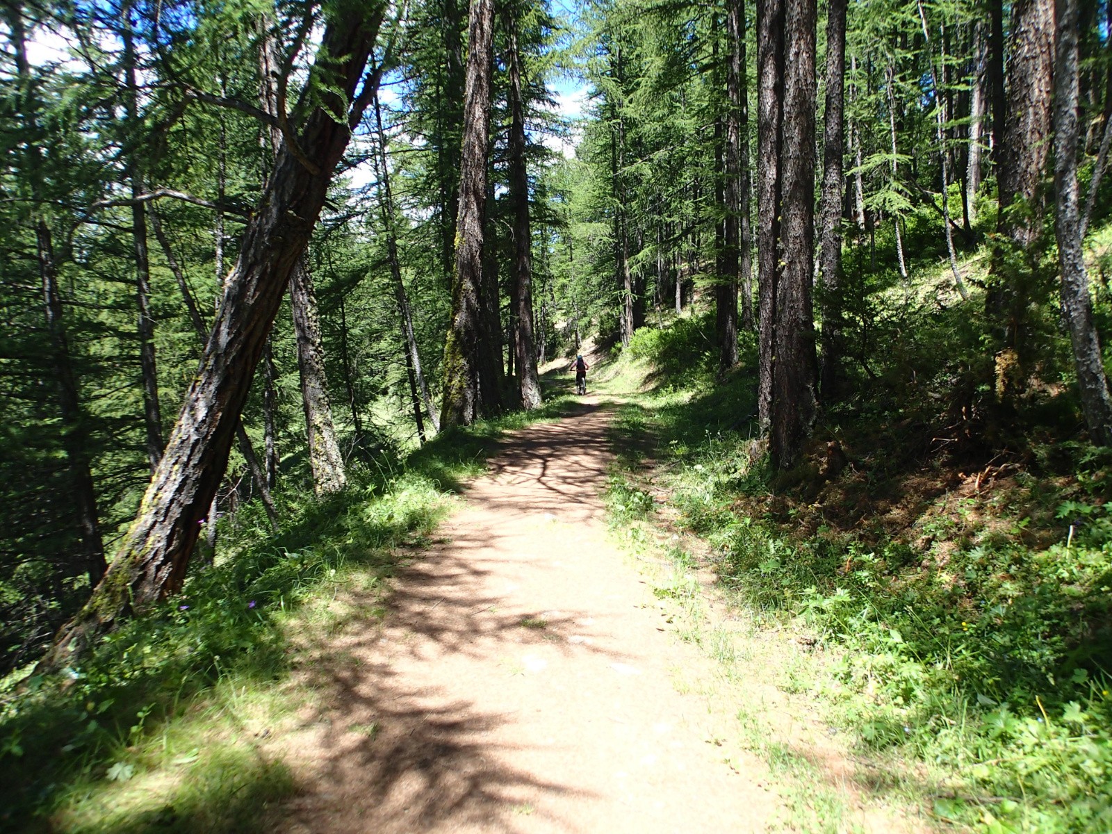 Le long du sentier de Pierre-Dimanche...