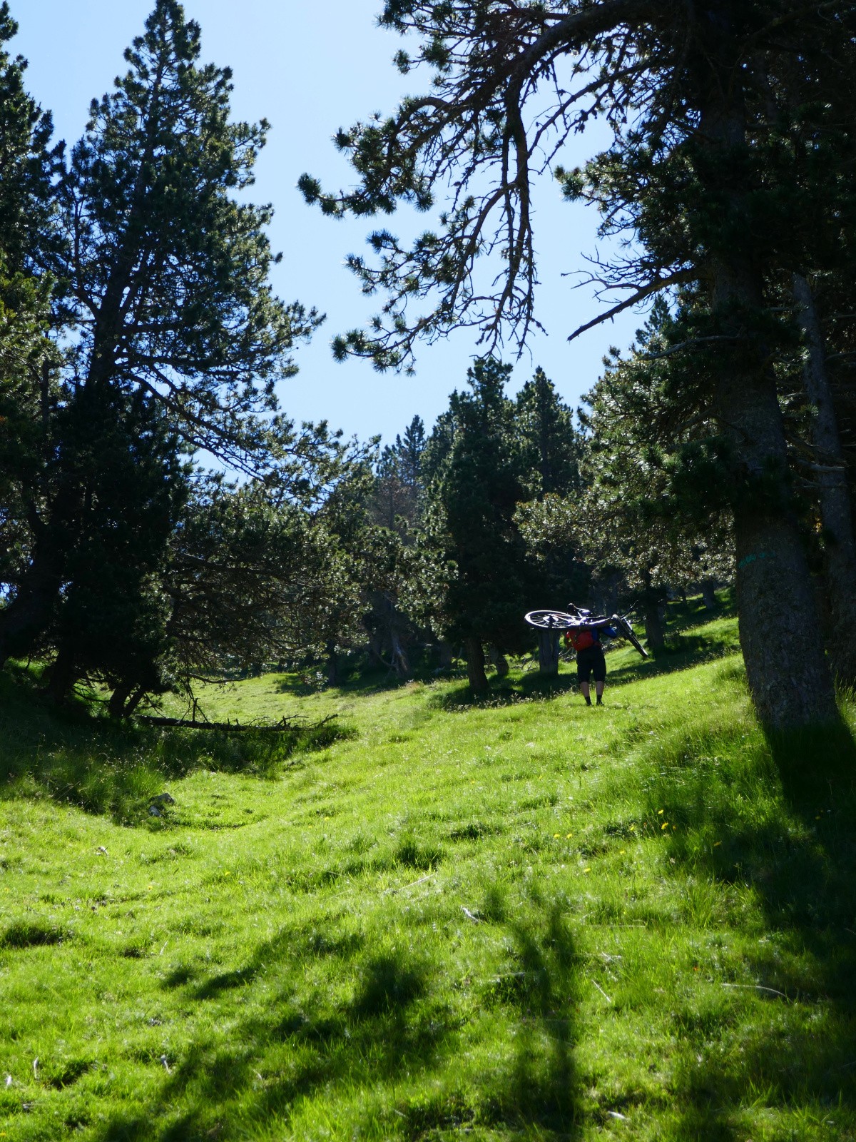 Portage dans la pelouse 