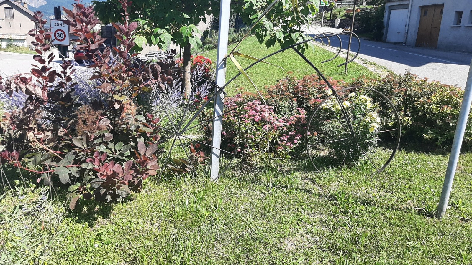 Un vélo discrètement caché par la botanique