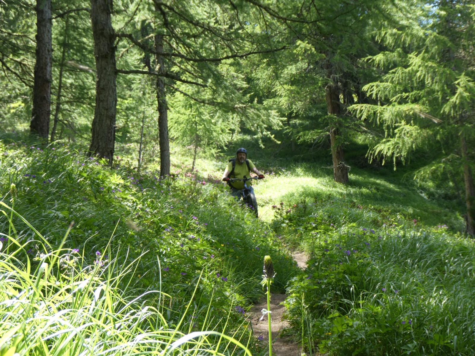 Toujours du VTT sympa