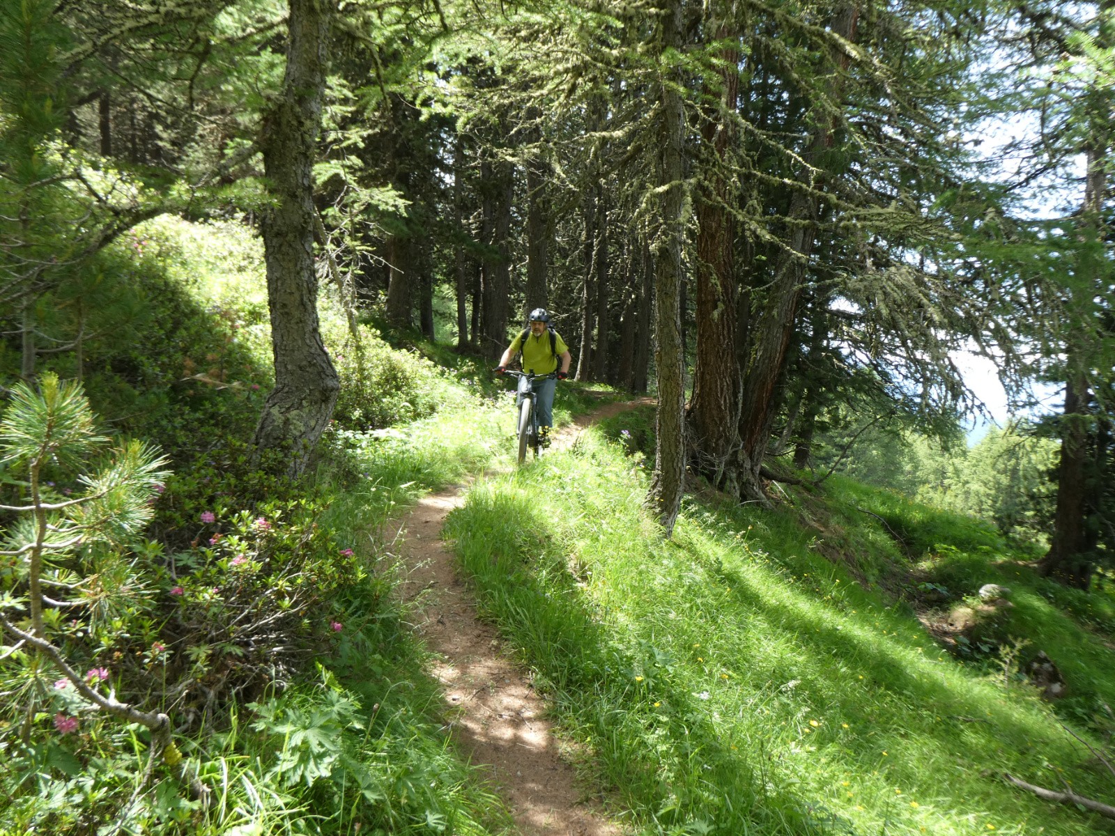 Sentier de MontBas