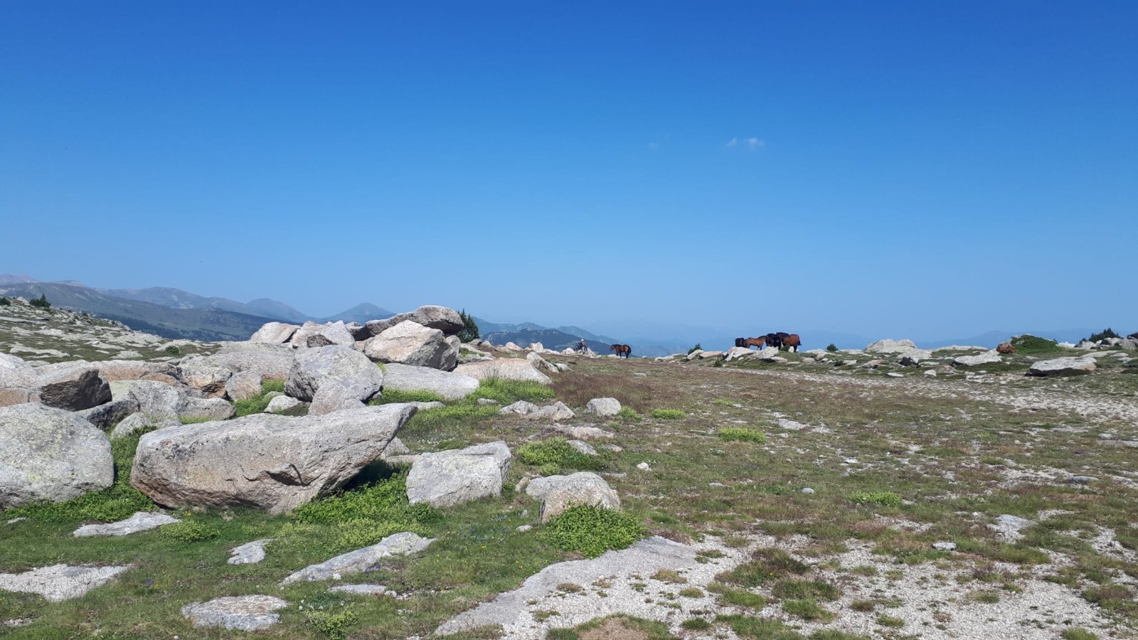 Collada des Roques Blanques, 2252