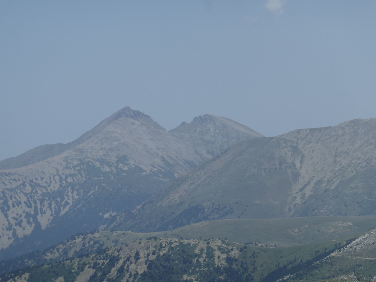 Le Canigou et le Barbet 