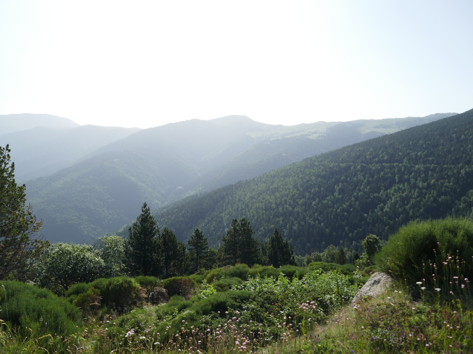 Crête à atteindre 