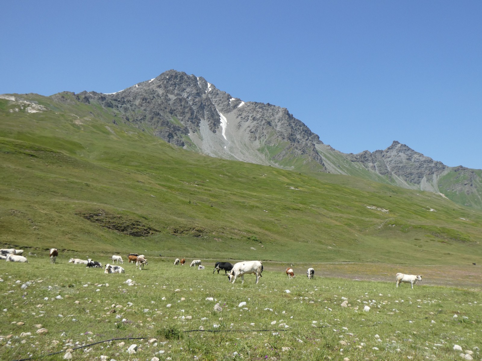 Plateau du Petit Mont Cenis