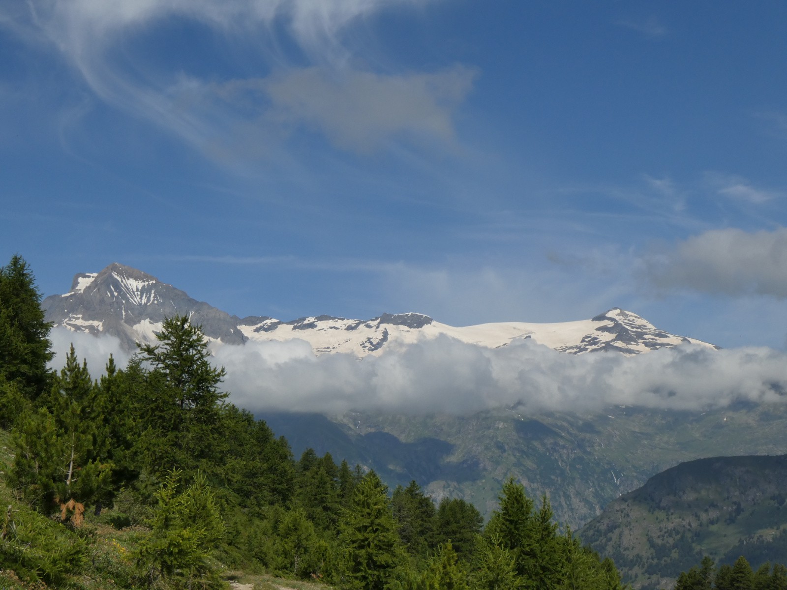 La Parrachée et les Dômes de la Vanoise depuis la piste du Pont Lapouge