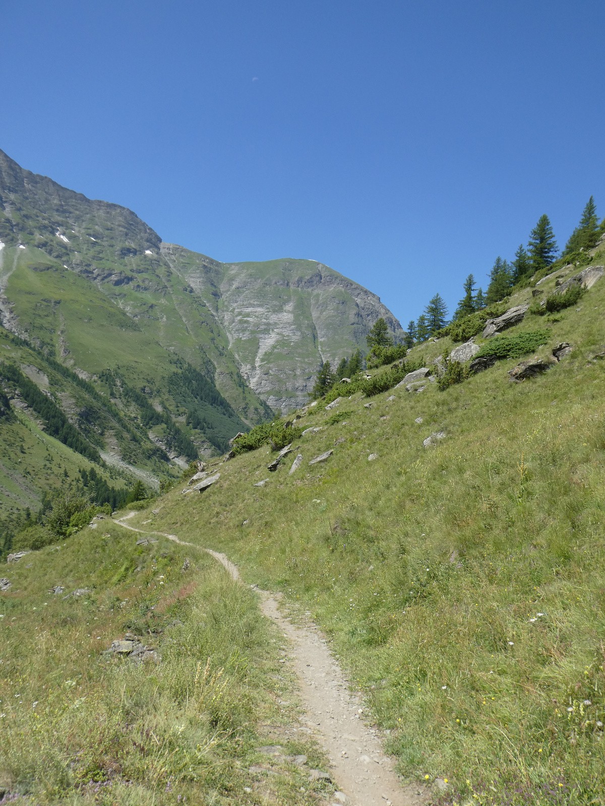 Le sentier file sur Vincendière