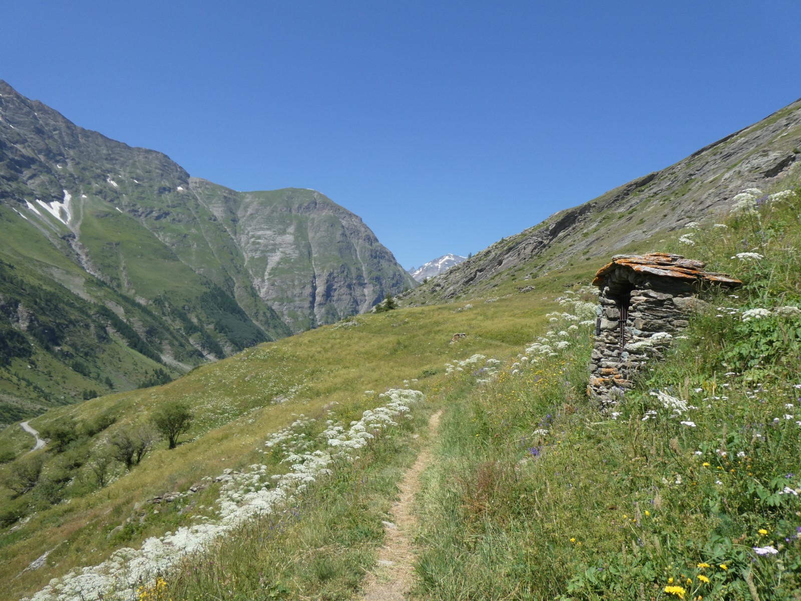 Traversée des alpages